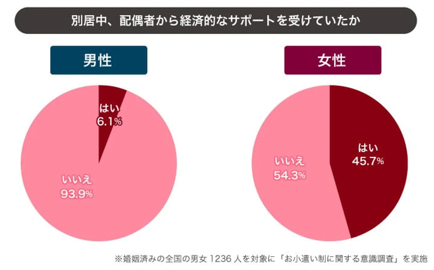 pic-07　別居中の配偶者からの経済的サポート